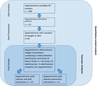 Feline Obesity in Veterinary Medicine: Insights from a Thematic Analysis of Communication in Practice